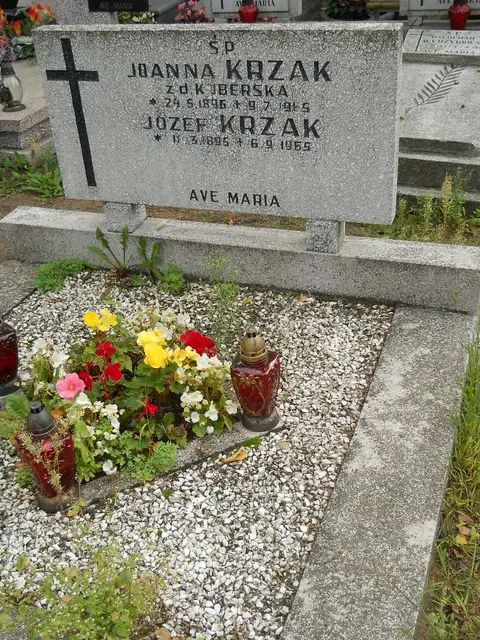 Zdjęcie grobu 16/26235