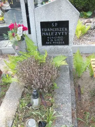 Zdjęcie grobu 35/185