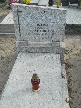 Zdjęcie grobu 22/100