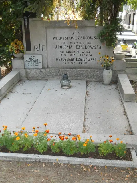 Zdjęcie grobu 12/28982