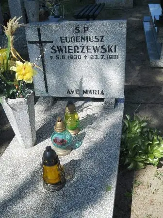 Zdjęcie grobu 46/100