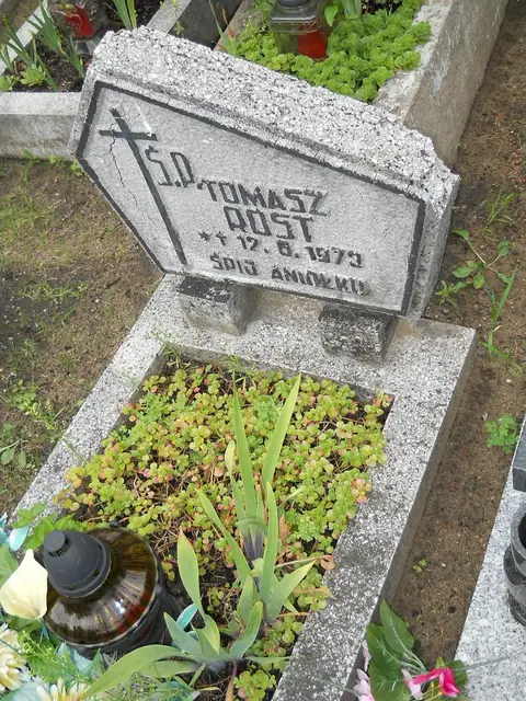 Zdjęcie grobu 21/23858