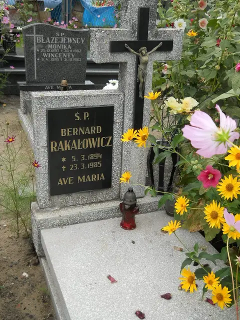 Zdjęcie grobu 5/22365