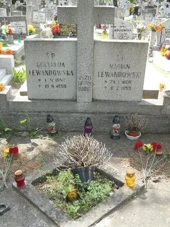 Zdjęcie grobu 20/461,462
