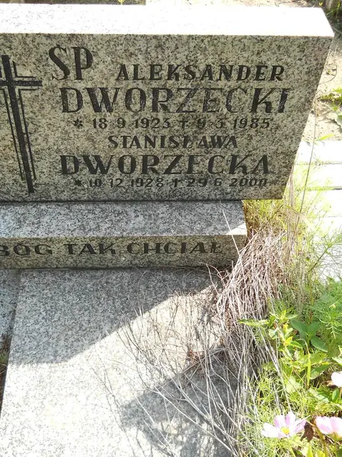 Zdjęcie grobu 26/22964