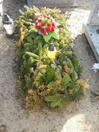 Zdjęcie grobu 100/100