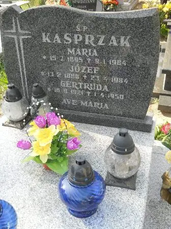 Zdjęcie grobu 20/100