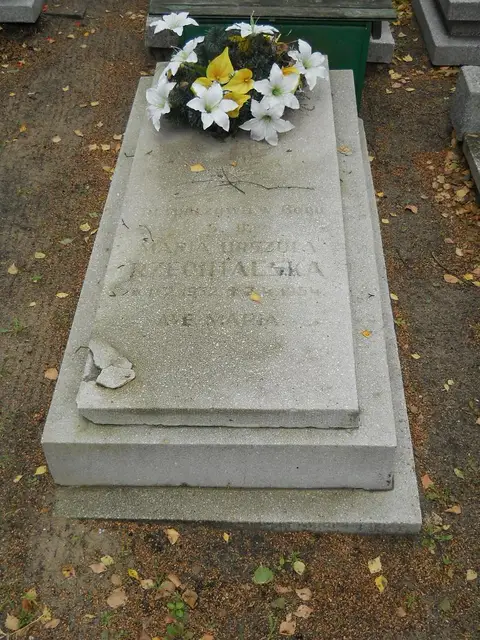 Zdjęcie grobu 16/26104