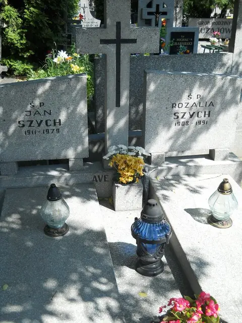 Zdjęcie grobu 7/11860