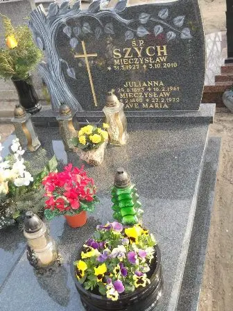 Zdjęcie grobu 10/100
