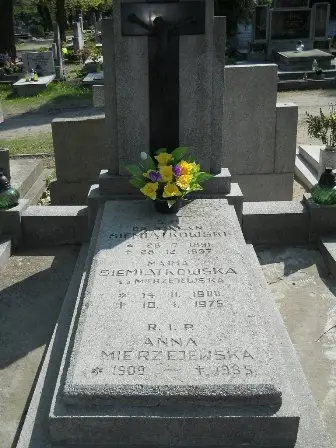 Zdjęcie grobu 29/100