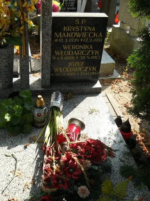 Zdjęcie grobu 19/28563