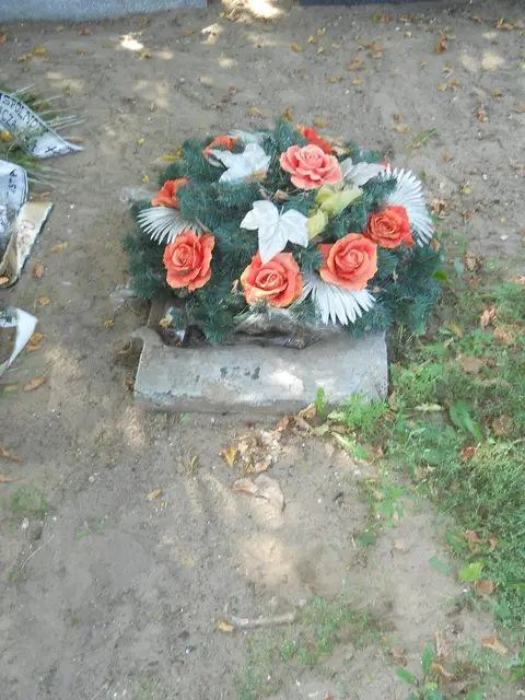 Zdjęcie grobu 14/27183