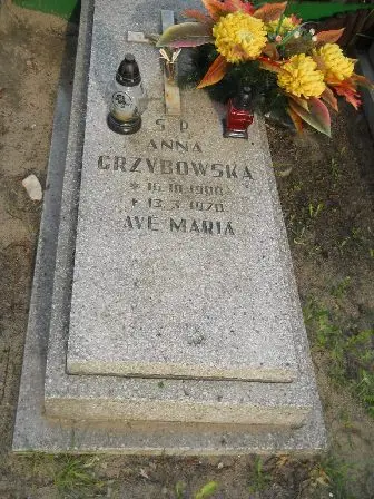 Zdjęcie grobu 44/68