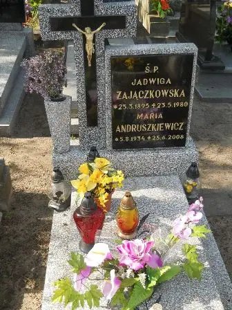 Zdjęcie grobu 24/100