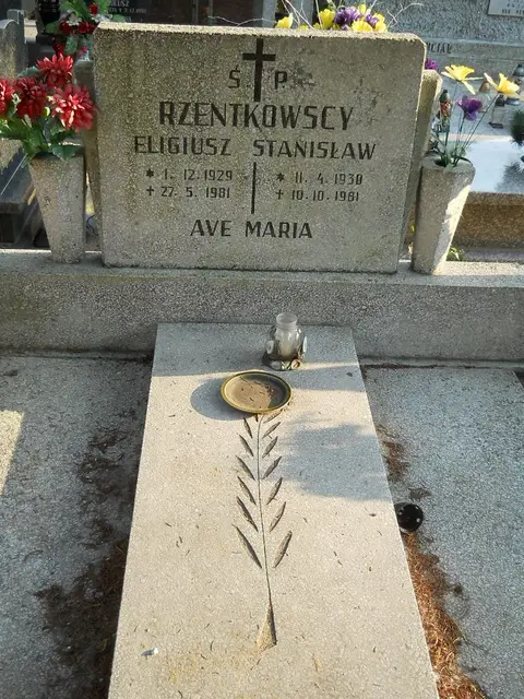 Zdjęcie grobu 14/27862
