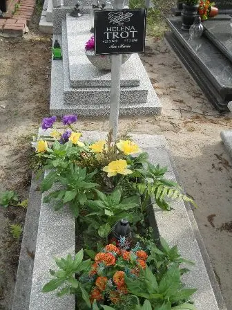 Zdjęcie grobu 22/56a