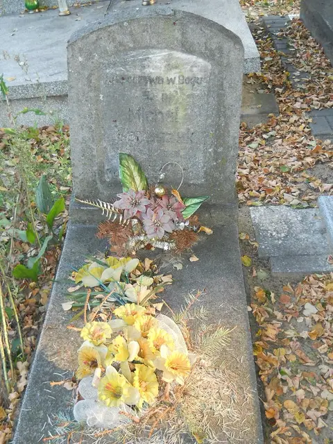 Zdjęcie grobu 15/26839
