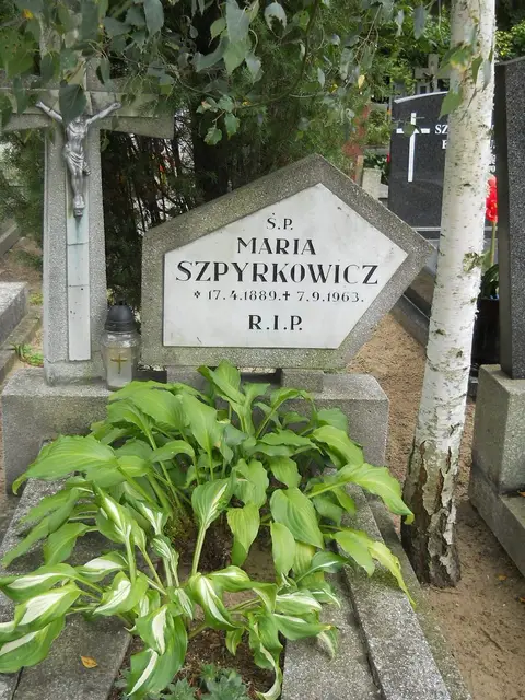 Zdjęcie grobu 12/29405