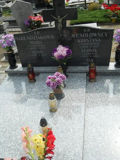 Zdjęcie grobu 16/26254