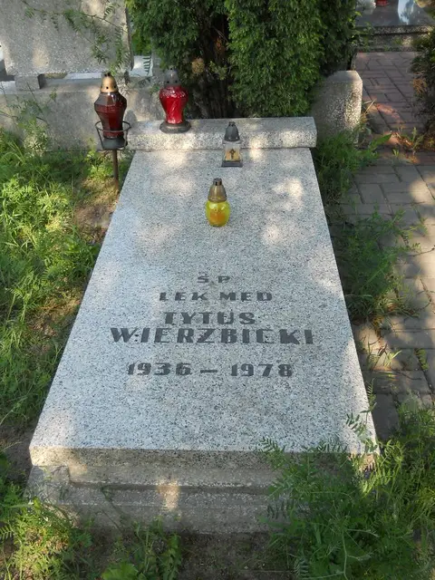 Zdjęcie grobu 7/12049
