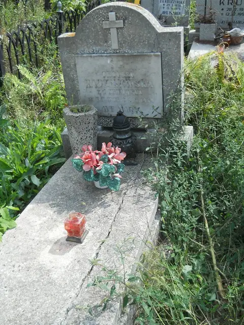Zdjęcie grobu 16/26324