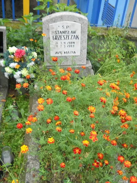 Zdjęcie grobu 14/25981