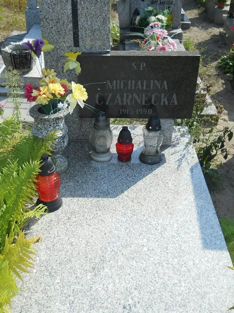 Zdjęcie grobu 14/27593
