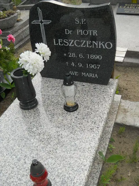 Zdjęcie grobu 8/10646