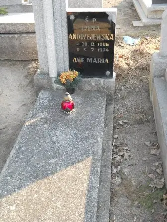 Zdjęcie grobu 4/2