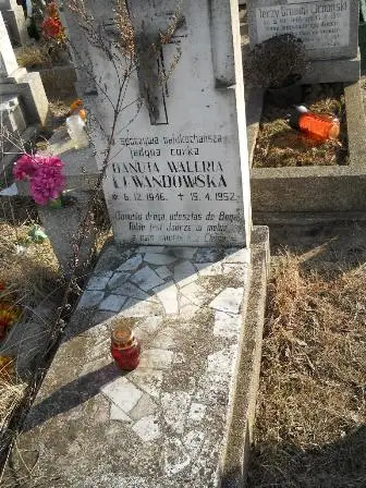 Zdjęcie grobu 100/100