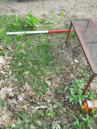 Zdjęcie grobu 9/100