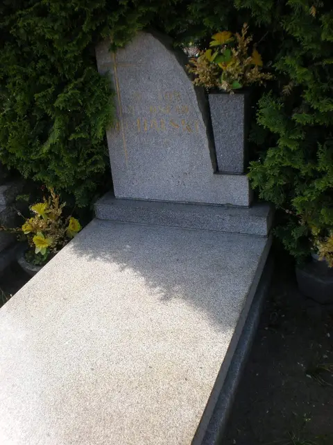 Zdjęcie grobu 8A/20193
