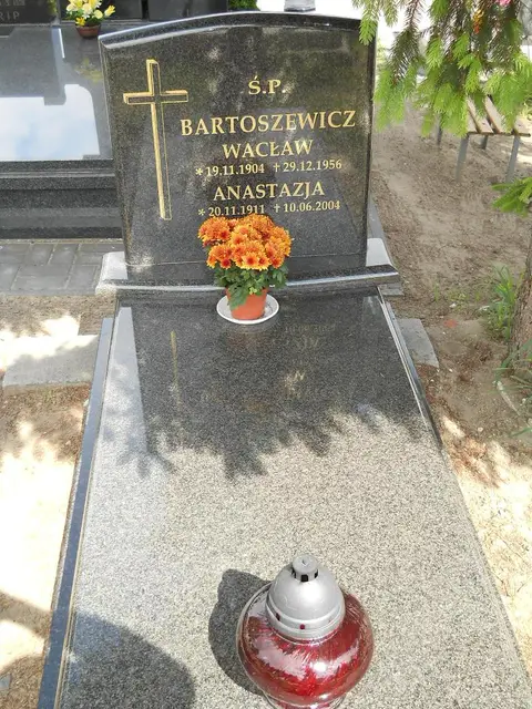 Zdjęcie grobu 7/11719