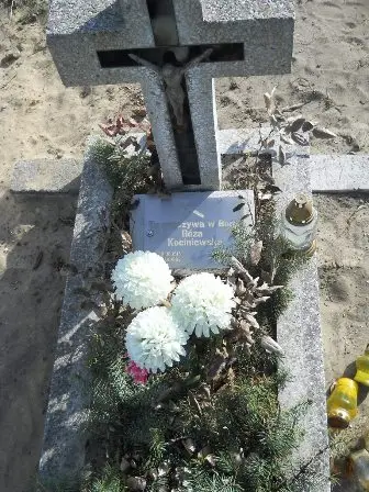 Zdjęcie grobu 5/119