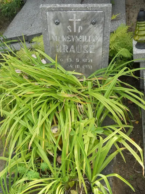 Zdjęcie grobu 16/26387