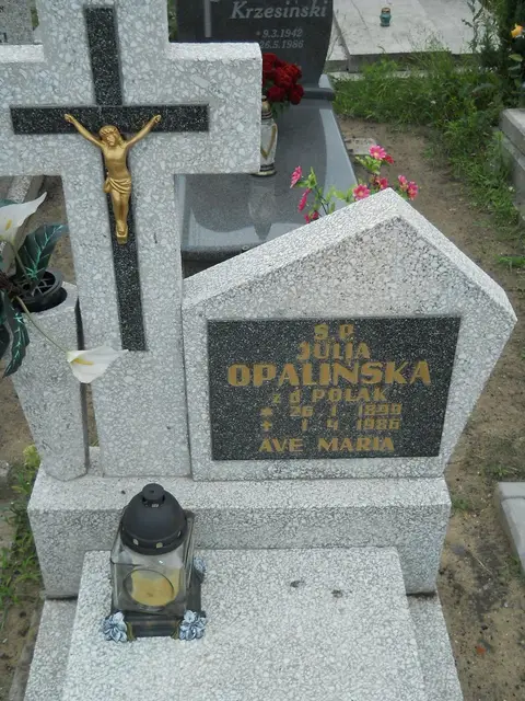Zdjęcie grobu 27/23046