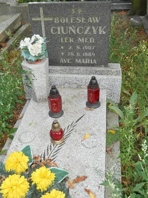 Zdjęcie grobu 15/26675