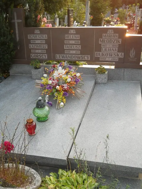 Zdjęcie grobu 11/28972