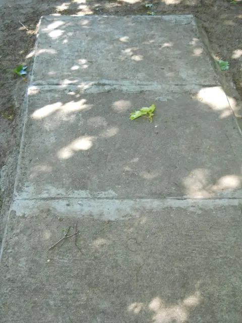 Zdjęcie grobu 8A/10342