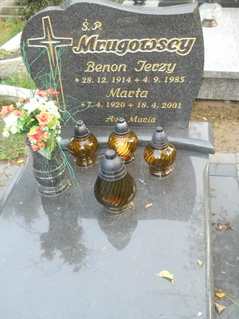 Zdjęcie grobu 14/26883