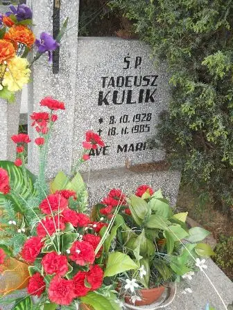 Zdjęcie grobu 44/138
