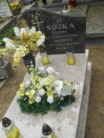 Zdjęcie grobu 32/106