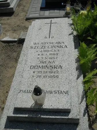Zdjęcie grobu 28/241