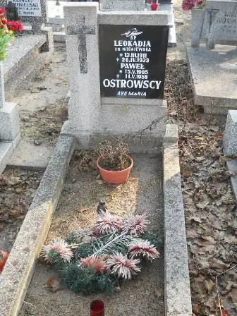 Zdjęcie grobu 2/100