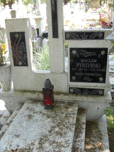 Zdjęcie grobu 8/10395