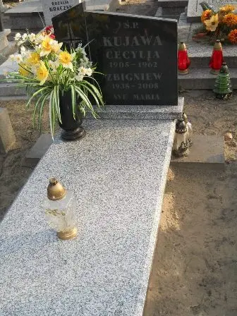 Zdjęcie grobu 10/100