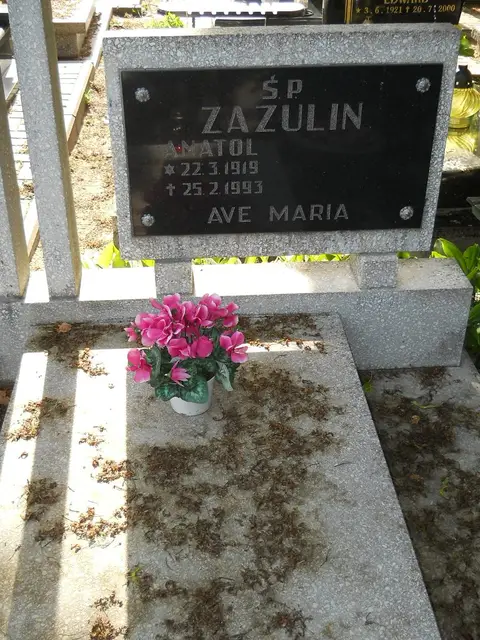 Zdjęcie grobu 8/10555