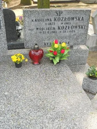Zdjęcie grobu 33/8,9