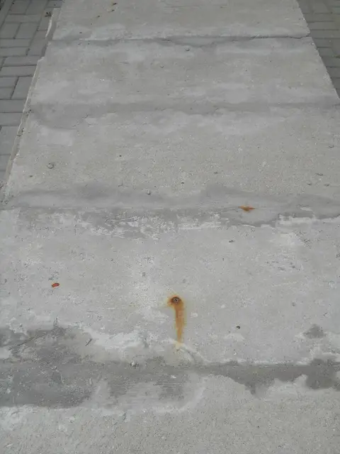 Zdjęcie grobu 7/11243